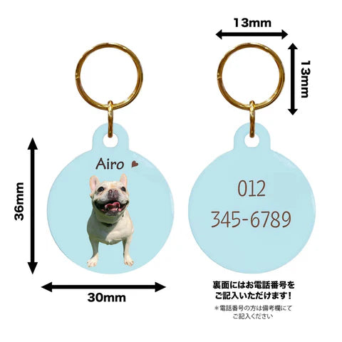【カスタマイズ可能】パステルトーン ペット名入り 愛犬迷子防止タグ ドッグアイデンティティータグ