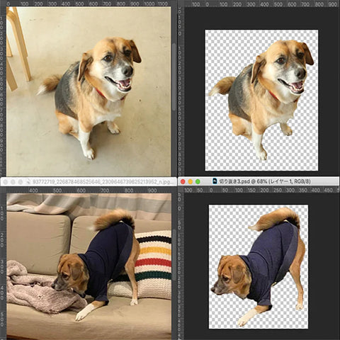 ペット写真でつくるオリジナルポーチ♪ 可愛い【両面印刷】