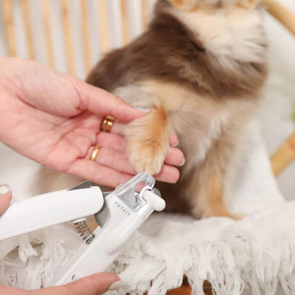 LED ライト付き犬用爪切り
