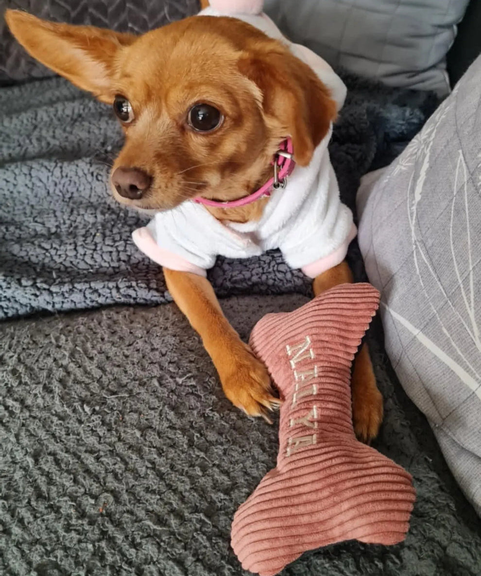 【パーソナライズ可能】刺繍入り骨形犬用おもちゃ スイーカー付き 愛犬向けギフト ドッグトイ
