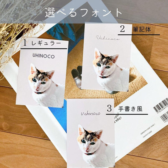 🌟【ポスター / イラスト】うちのペット カスタムポートレート 3 種フォント & 9 種背景色選択可能