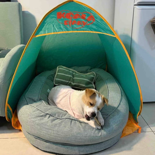折りたたみペットテント 小型犬用ドッグハウス - イエロー - グリーン