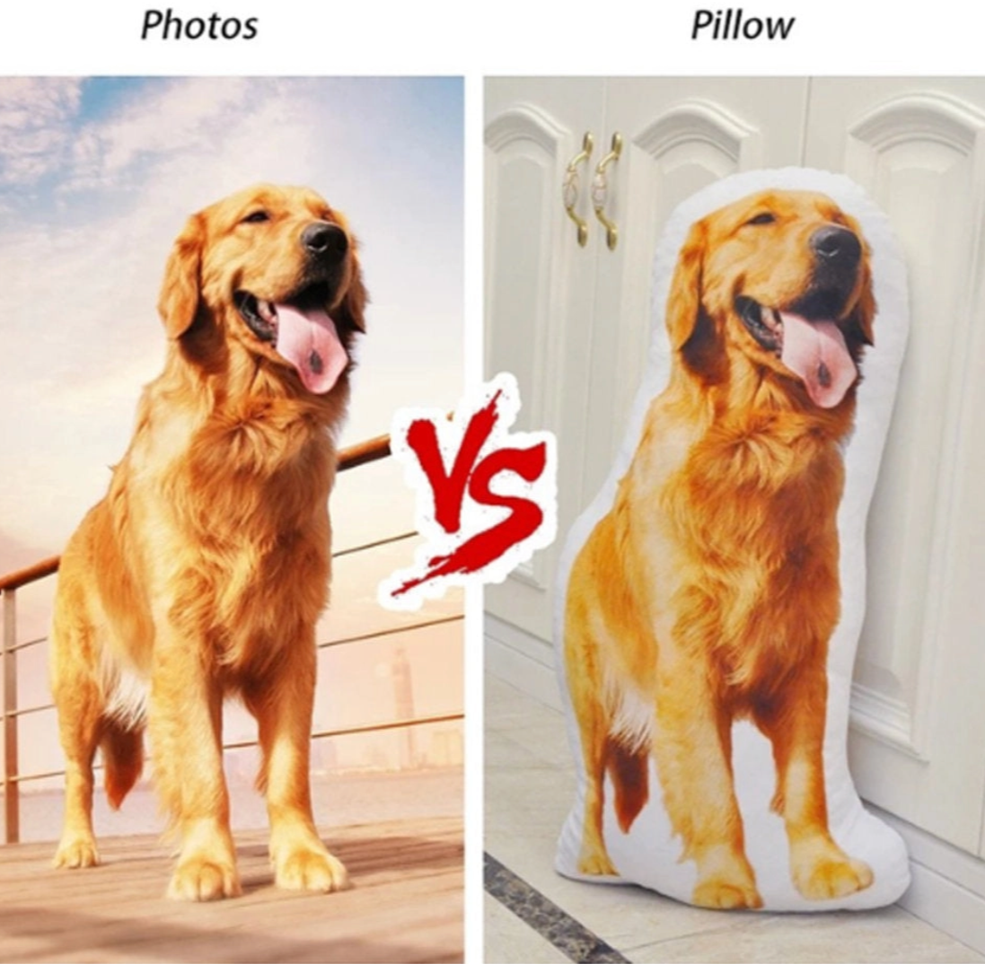 ゴールデンレトリーバーの写真 vs カスタムシェイプドピロー 