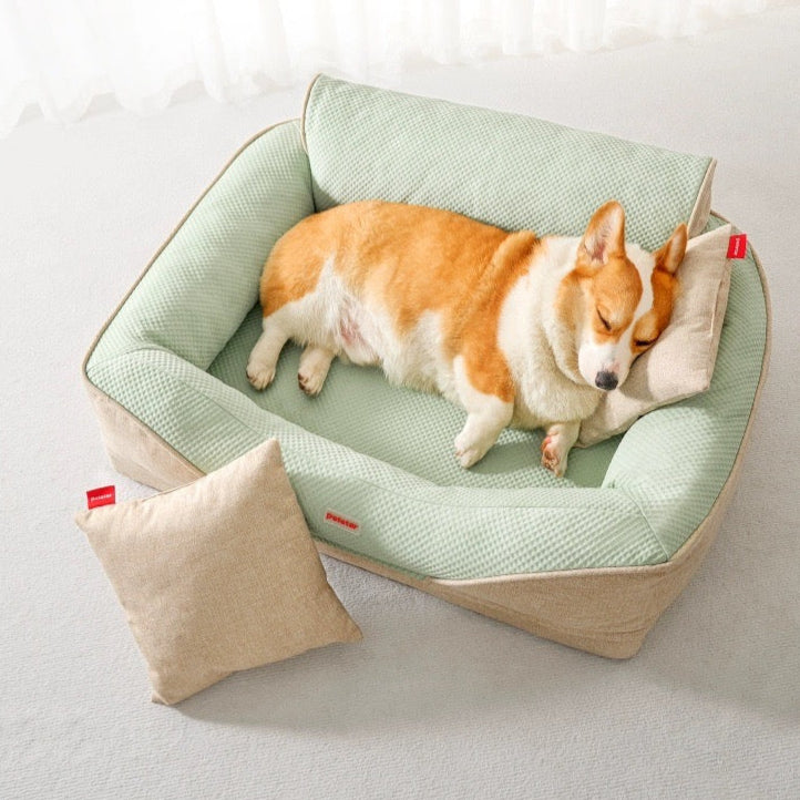 コーギーが快眠する ミントグリーン × ベージュのペットベッド