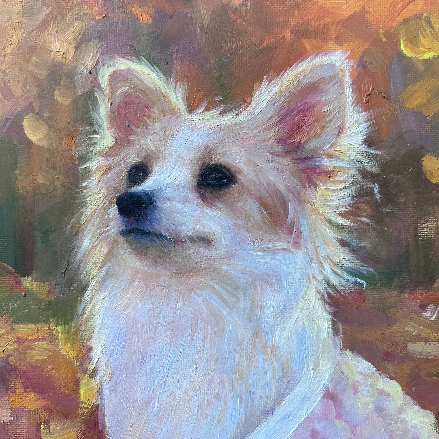 🎨【PAW&ART 本物の油絵】筆と油絵具で一から手描き ペット肖像画｜印刷・デジタル加工なし 愛犬 愛猫 写真からオーダーメイド メモリアルギフト