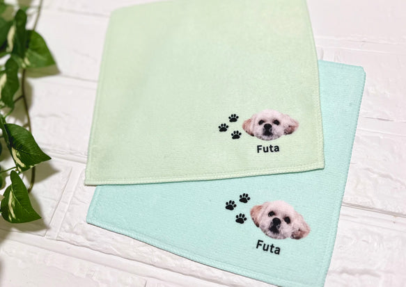 カスタムペットハンカチ - ブルー＆グリーン