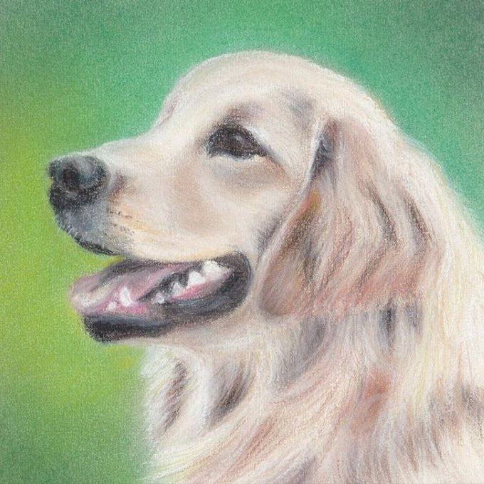 🌟【PAW&ART グラデーションチョークアート】オーダーメイドペット肖像画｜柔らか色彩で宿る愛犬の表情 グラデ背景 × サイズ選択可 カスタムアート