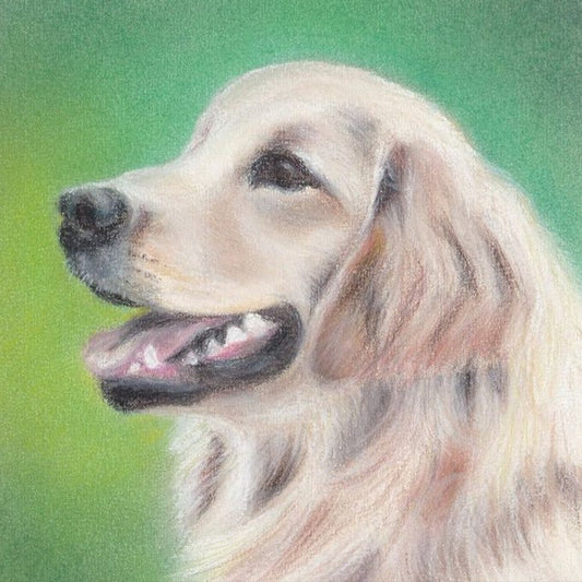 🌟【PAW&ART グラデーションチョークアート】オーダーメイドペット肖像画｜柔らか色彩で宿る愛犬の表情 グラデ背景 × サイズ選択可 カスタムアート